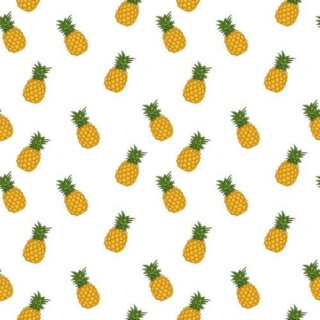 Pineapple 3.0