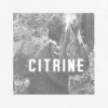 vol iii: CITRINE
