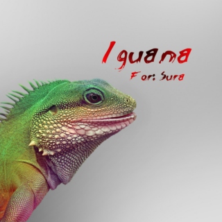 Iguana (a journey to the wild) for Sura
