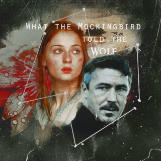 What the Mockingbird Told the Wolf