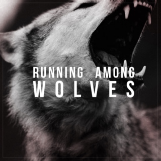 running among wolves;