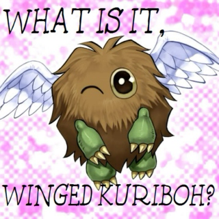 What Is It, Winged Kuriboh?