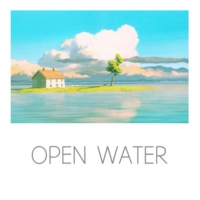▼ △ open water △▼ 