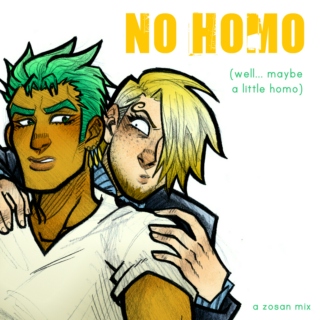 No Homo (well... maybe a little homo)