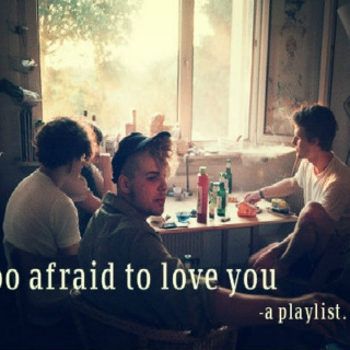 Too Afraid to Love You