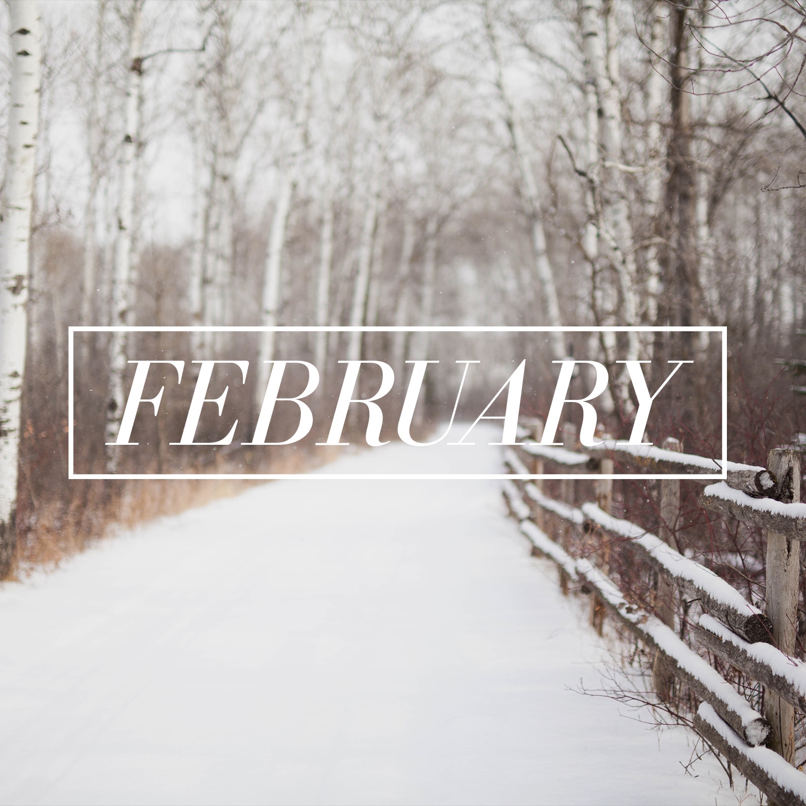 6 февраля словами. Февраля надпись. Февраль Эстетика. Обои февраль месяц. Февраль надпись красивая.