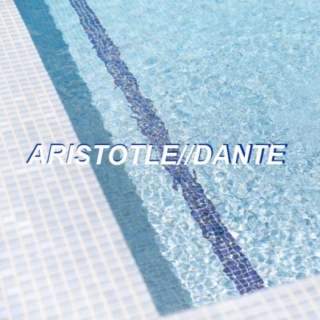 ari + dante