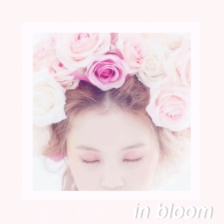 in bloom