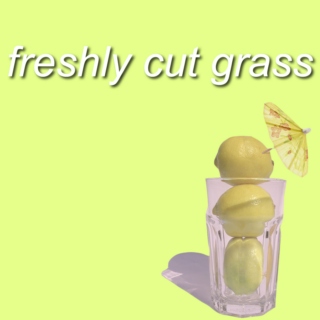 freshly cut grass
