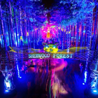 Electric Forest Drive 2016 