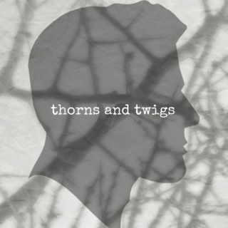 thorns and twigs//adam parrish