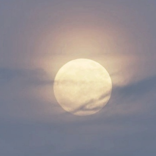 pale moon in the march sky
