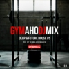 GymahoDJMix Deep & Future House #5 Mix by Bjorn Steinhagen