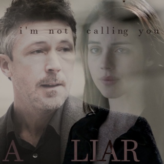 ♔ { i'm not calling you a liar