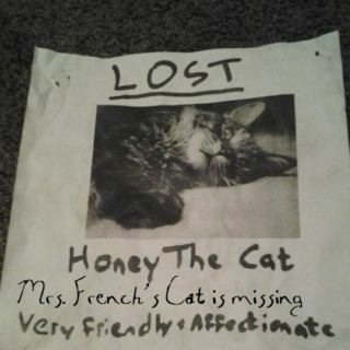 Mrs. French's Cat is Missing
