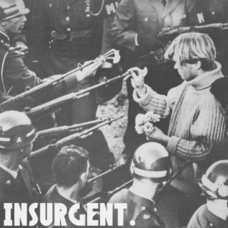 you are INSURGENT. 