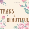 Trans Is Beautiful