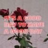 IT´S A GOOD DAY TO HAVE A GOOD DAY!