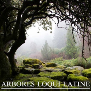 arbores loqui latine