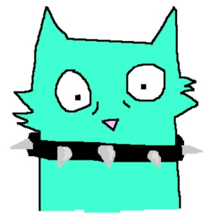 i drew the cat miself