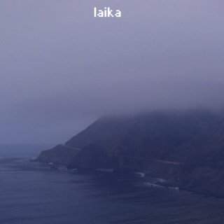 Laika [a weather report fanmix]