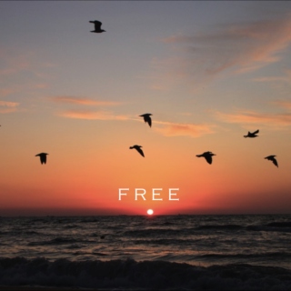 free;