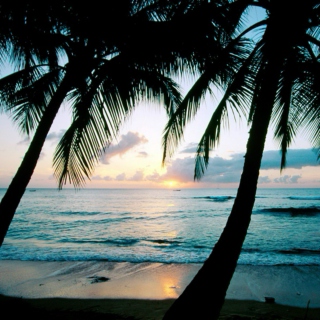 Destination Playlist: Maui