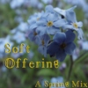 Soft Offering: A Spring Mix