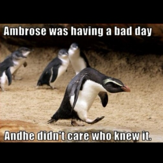 Ambrose was having a bad day