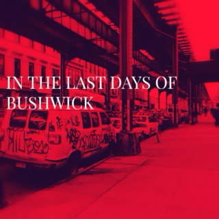 In The Last Days of Bushwick