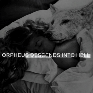 ORPHEUS DESCENDS INTO HELL ● hassan