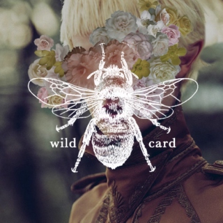 wildcard --