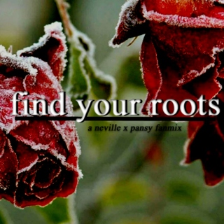find your roots