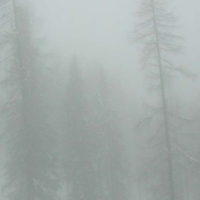 Songs to Listen to in the Fog