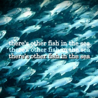 There's Other Fish in the Sea