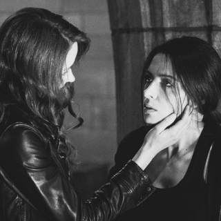 Root & Shaw Mix