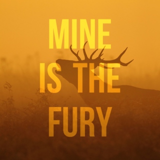• mine is the fury •