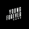 The Most Beautiful Moment In Life: Young Forever