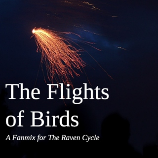 The Flights of Birds: Raven Cycle Fanmix