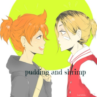 Pudding and Shrimp 