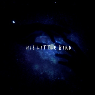 his little bird 