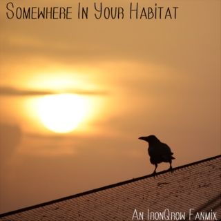 Somewhere In Your Habitat