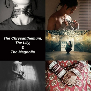The Chrysanthemum, The Lily, & The Magnolia (This Is Our Best Chance At Happiness)