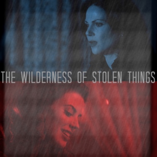 the wilderness of stolen things