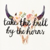 cut the bull----