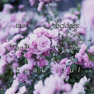The Reckless and the Beautiful