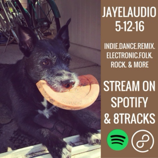 JayeL Audio 5-12-16