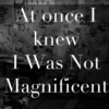 I Was Not Magnificent - A Richard Strand Fanmix