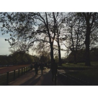 Hyde Park and its sounds