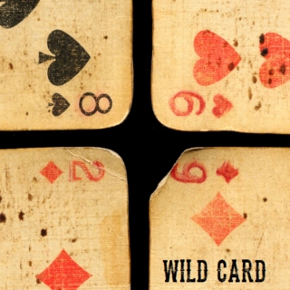 wild card
